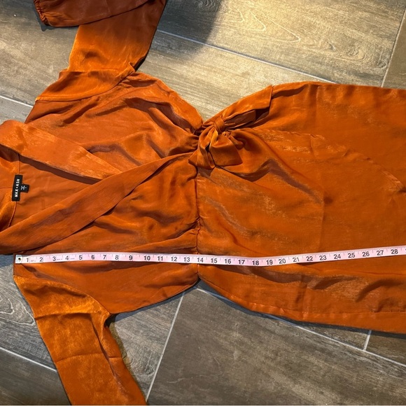 Orange Long Sleeve Sheath Dress with Plunge Neckline - Picture 10 of 11